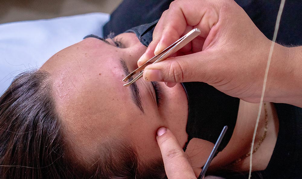 紫花艾草祛斑祛痘