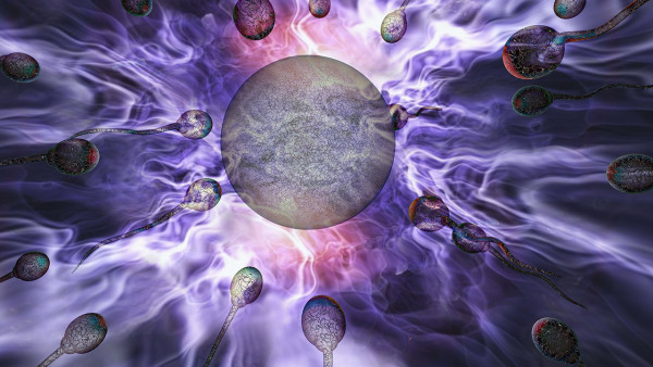 時(shí)尚要素 不育！